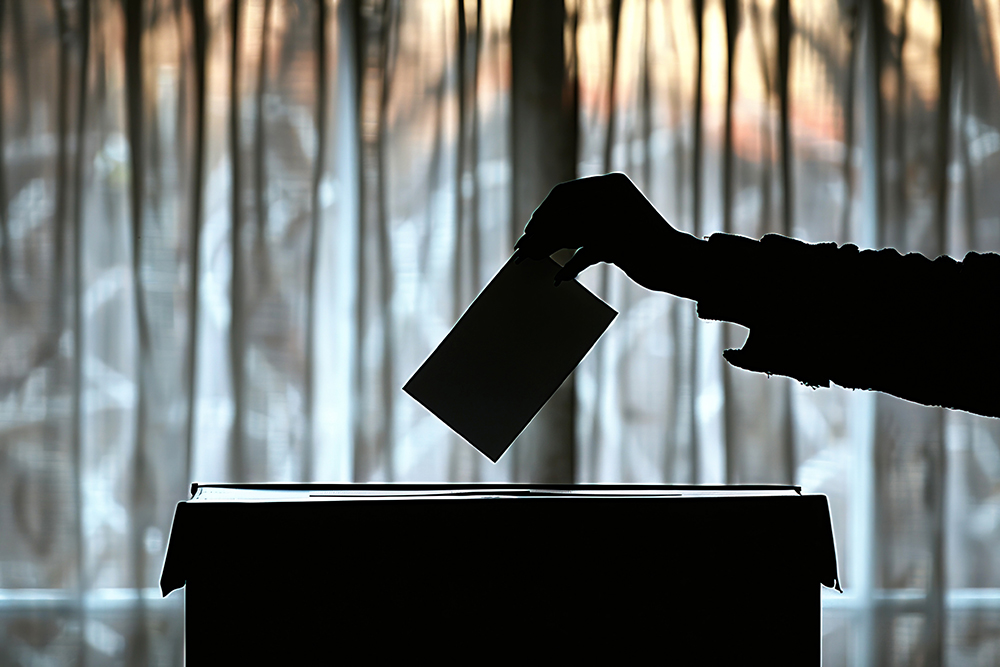 대통령 선거 사전투표일