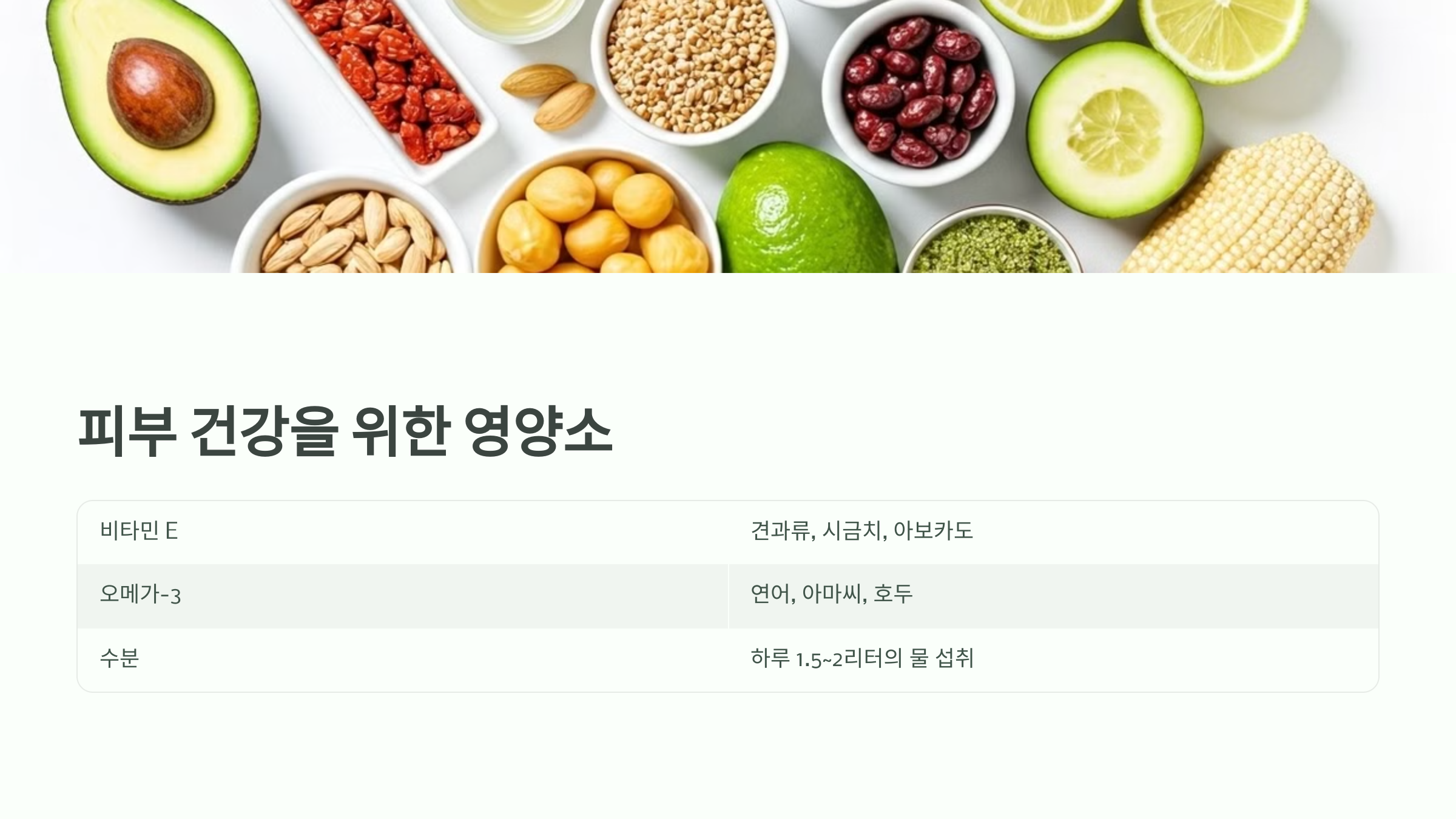 피부 건강을 위한 영양소