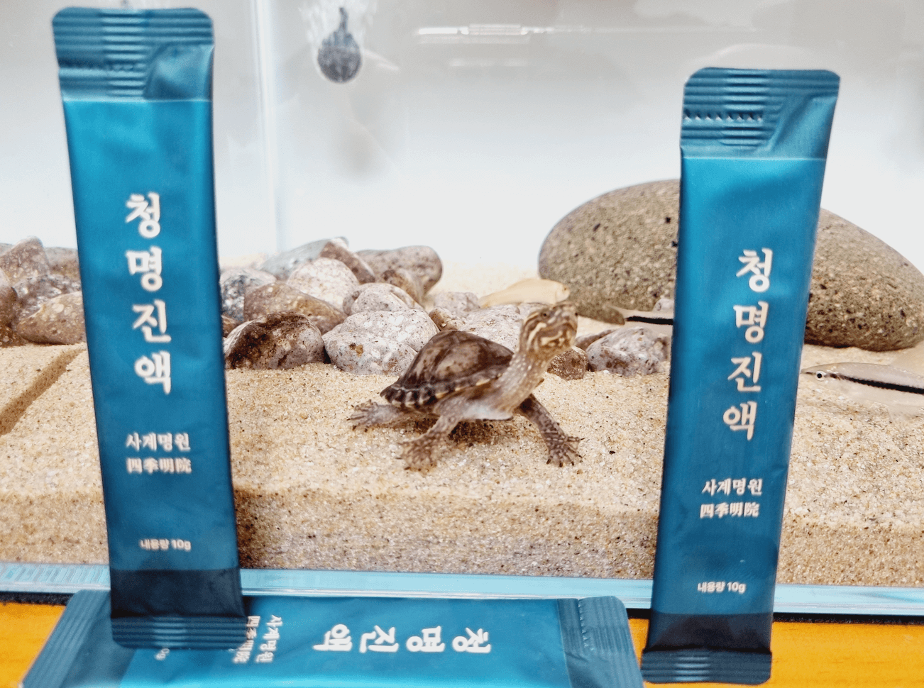청명진액 이명