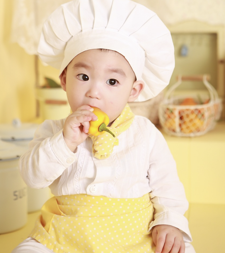 🌟 초보 부모를 위한 이유식 준비물 체크리스트 – 필수 아이템부터 추천템까지! 🍽️