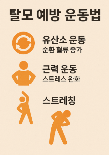 탈모 예방 운동법 추천