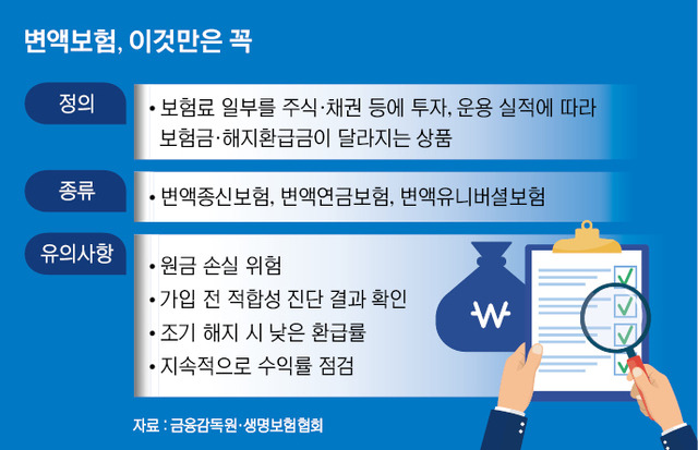 변액보험