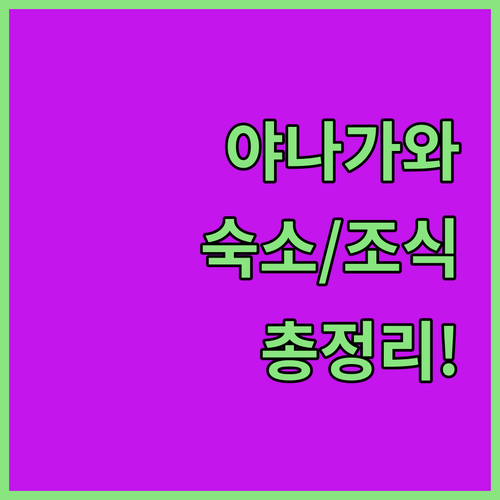 직접 다녀온 야나가와 뱃놀이 여행 숙..