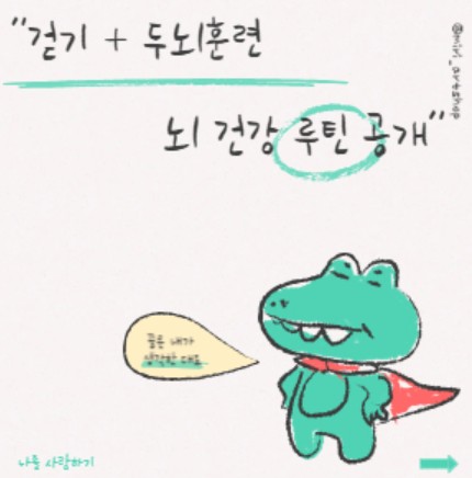 뇌건강 루티
