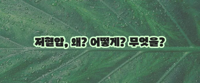 저혈압 이해 원인, 증상, 관리 방법