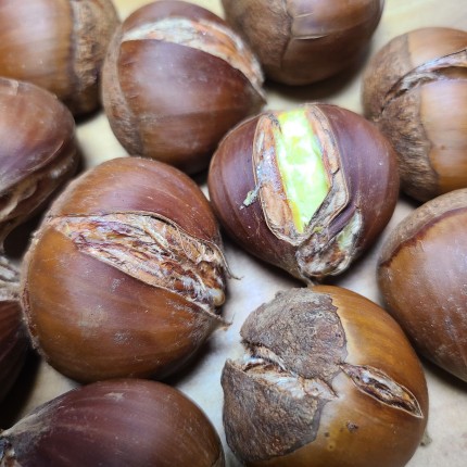 에어프라이어-군밤-만들기