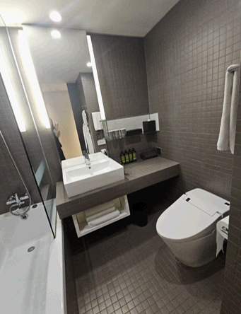 서울 신라스테이 역삼