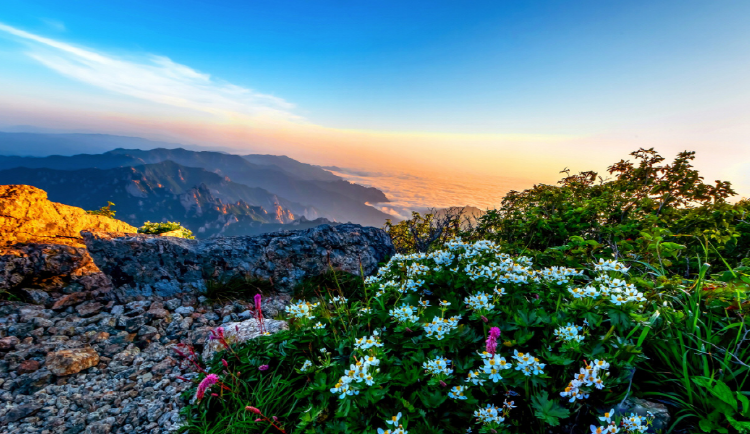 설악산 등산코스