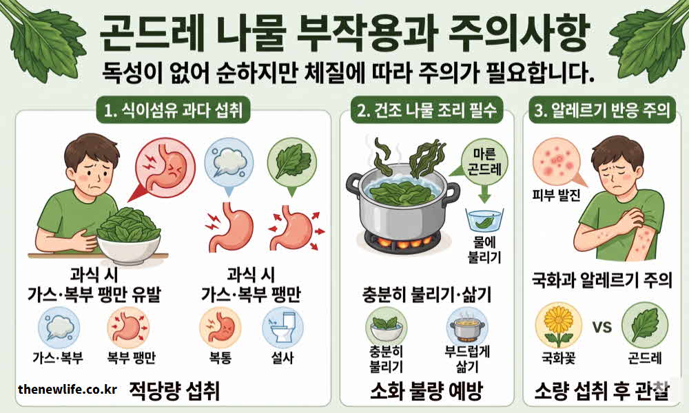 곤드레 나물 효능 부작용
