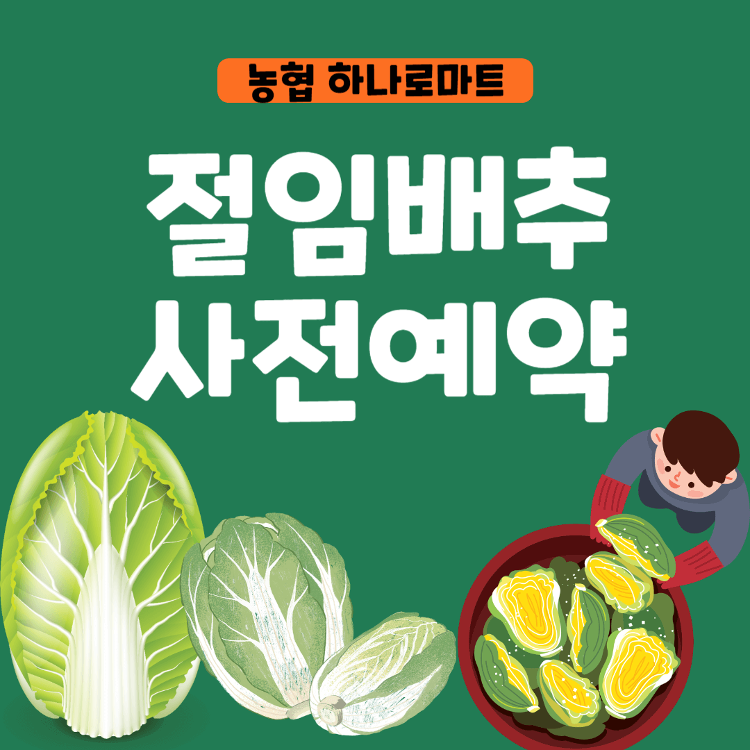농협 하나로마트 김장 절임배추 사전예약