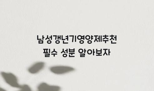 남성갱년기영양제추천