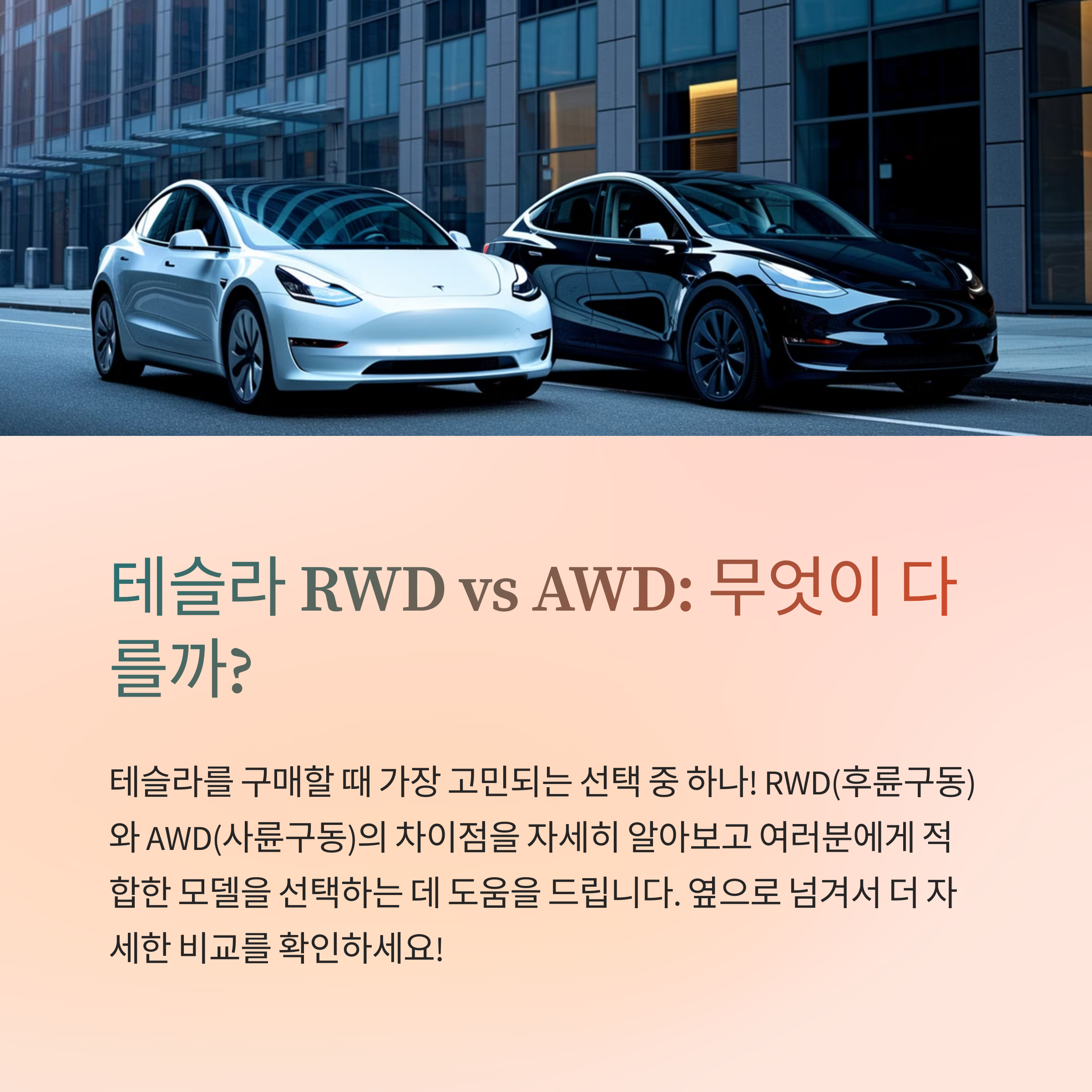 테슬라 RWD vs AWD 차이점