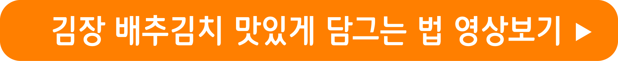 김장 배추김치 맛있게 담그는 법 영상보기