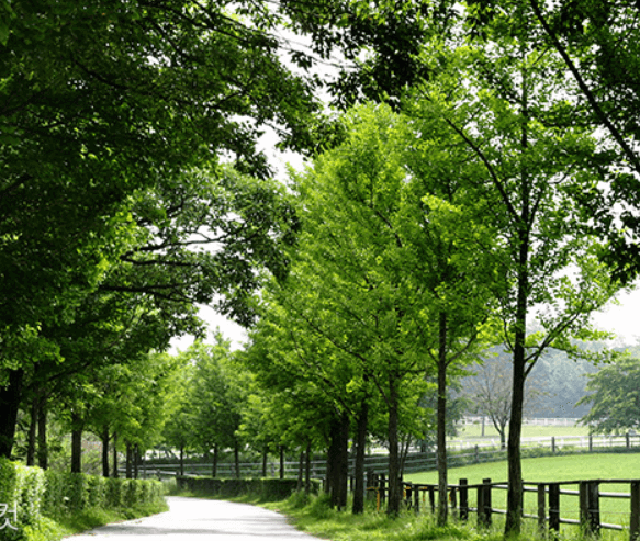 실버케어 아파트 열풍, 압구정·서울·의정부·청주 단지 비교