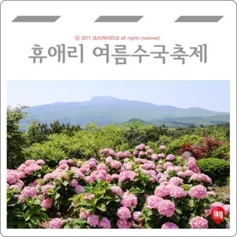 제주 여름 축제 일정표 불꽃놀이 포함 행사 소개_7