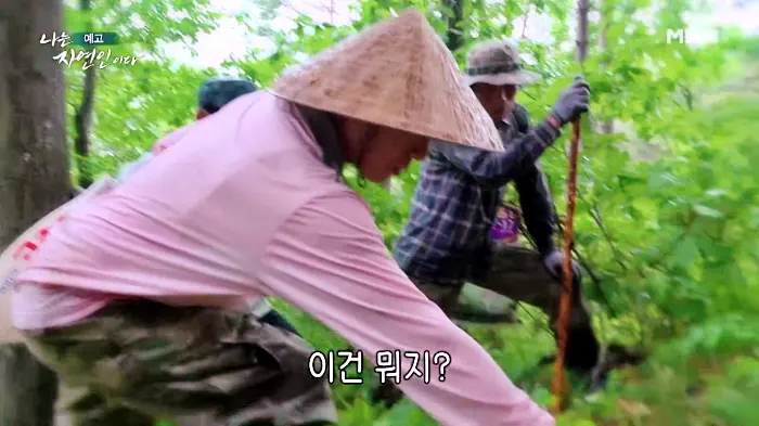 나는 자연인이다 곤드레밥, 부추전, 텃밭 아스파라거스 미나리 삼겹살, 1200평 땅을 나눠 산골 생활, 이웃집 두 남자 자연인 권영팔, 김진식 소개 및 이승윤 출연 558회 다시보기