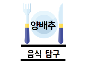 양배추 효능
