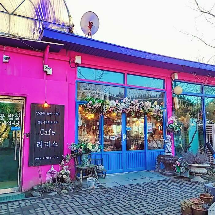 생방송오늘저녁 보령 대천 여행 바둑이네 동물원 미술관 허브랜드 모히또 허브꽃밥 디저트 플라워 카페
