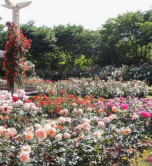 5월에 방문하는 축제 BEST 7