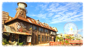 아메리칸 빌리지