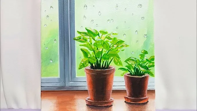 창가 식물 관리 직사광 차광요령 물주기 시간대 잎타는 현상 예방_4