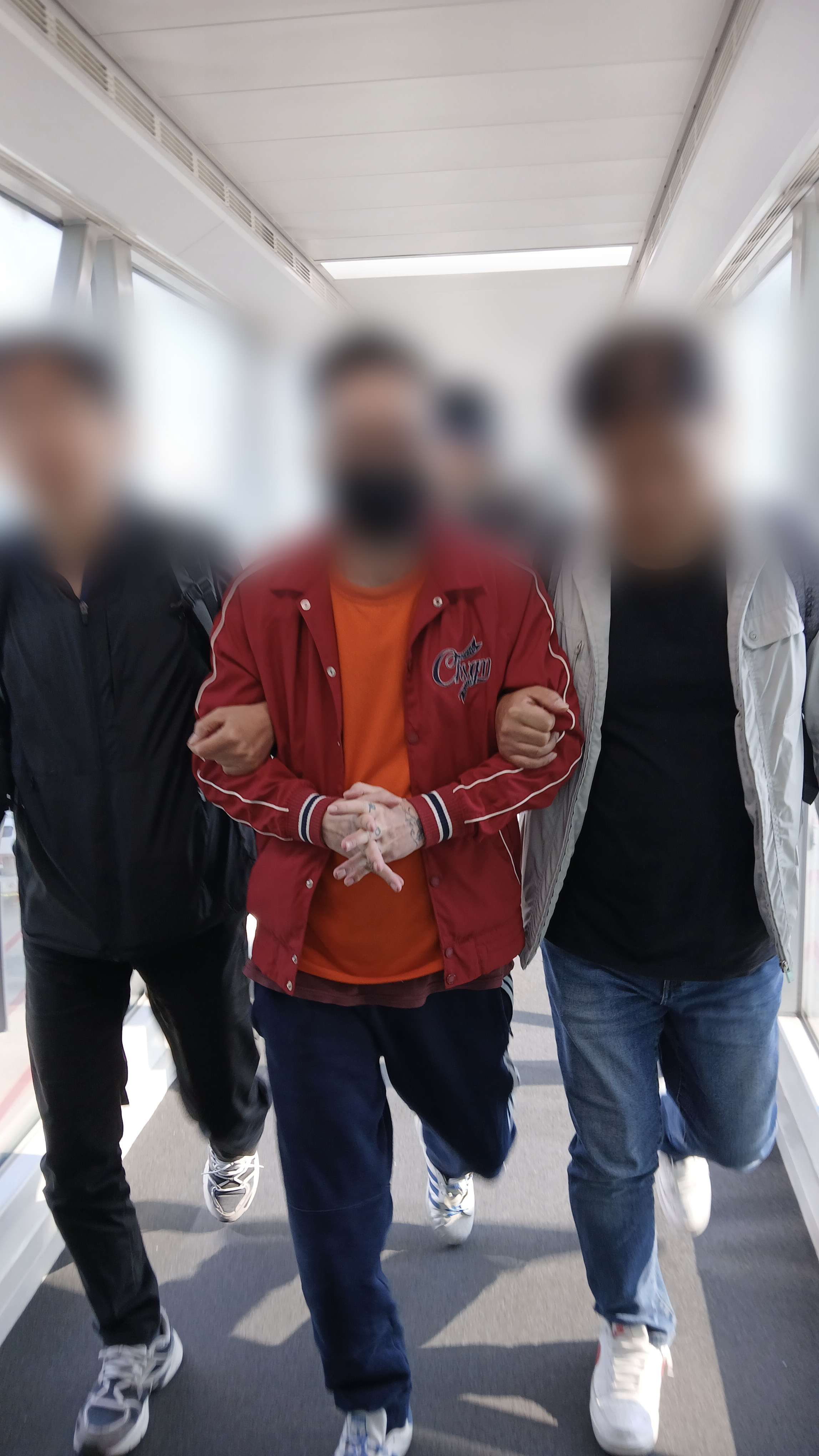 에콰도르 아청물 배포자 국내 송환