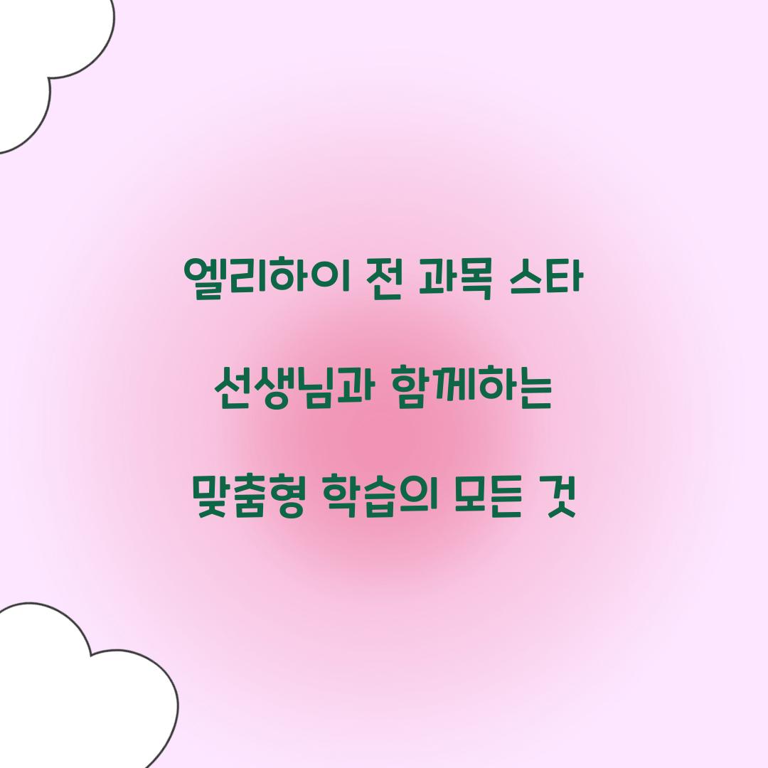 엘리하이 전 과목 스타 선생님