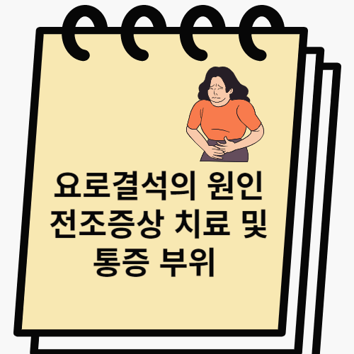 요로결석 썸네일 이미지