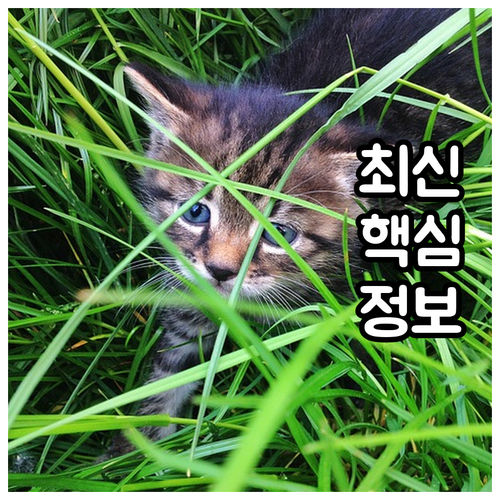 2025 화순 귀농 정착 지원 핵심 ..