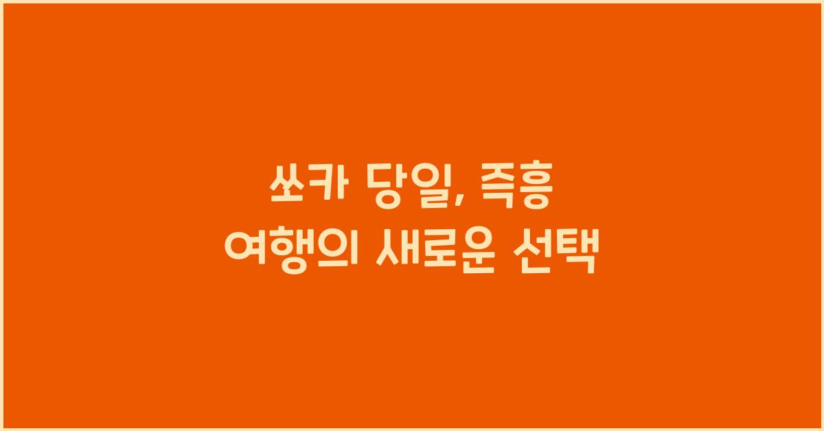쏘카 당일