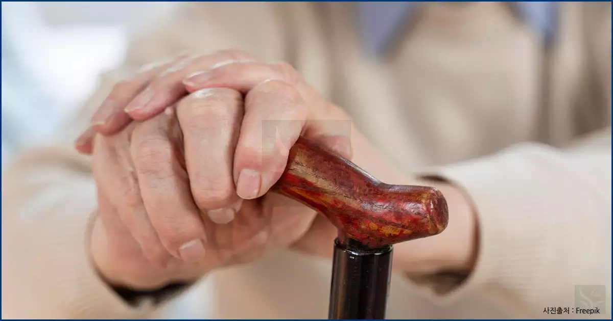 지팡이를 손에 쥔 어르신의 손