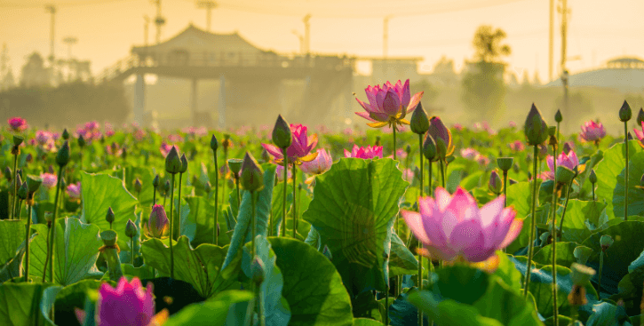 함안 가볼만한곳 베스트10
