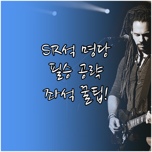 미스트롯4 콘서트 SR석 명당 확보를..