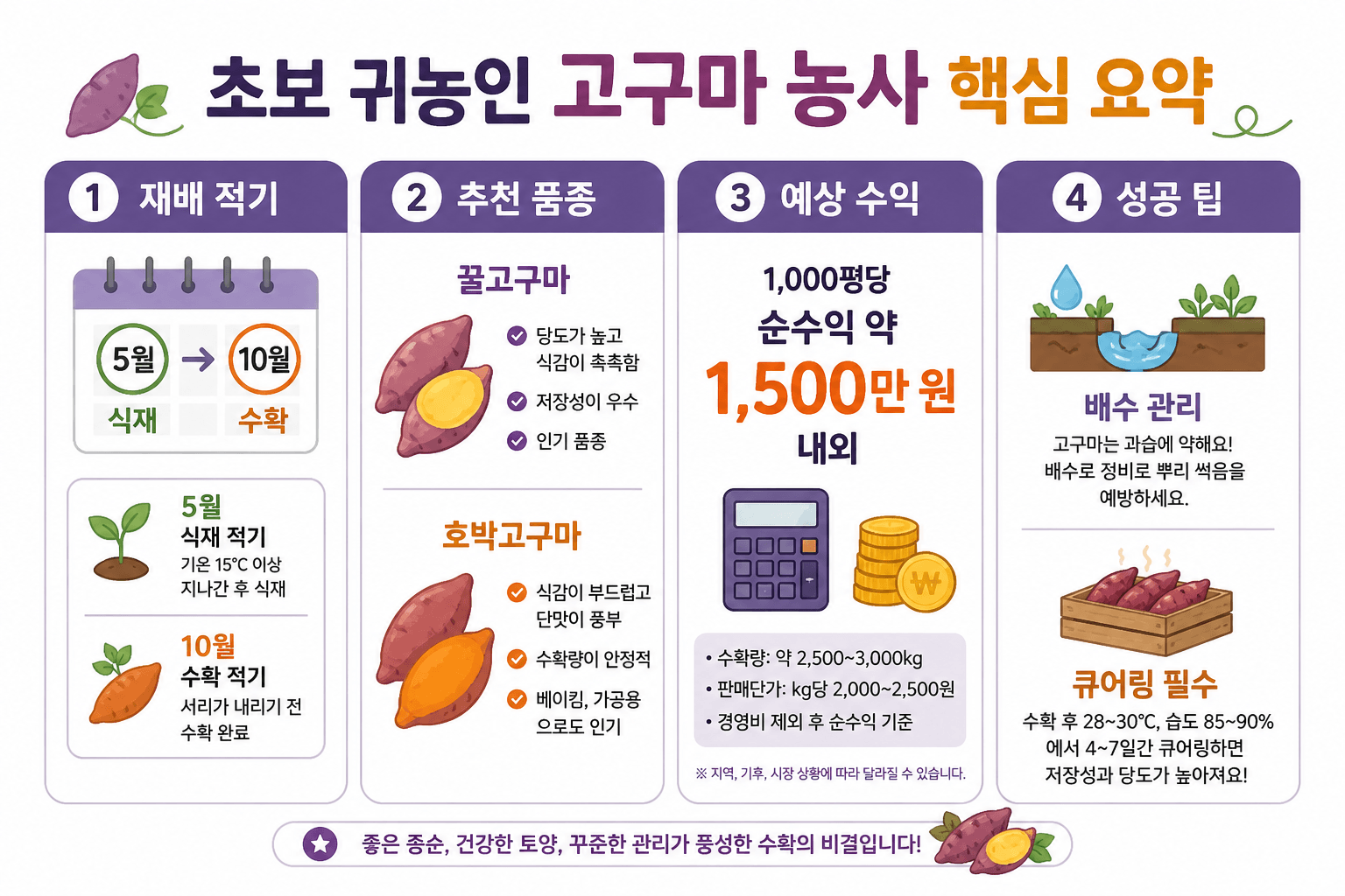 초보 귀농인 고구마농사 인포그래픽