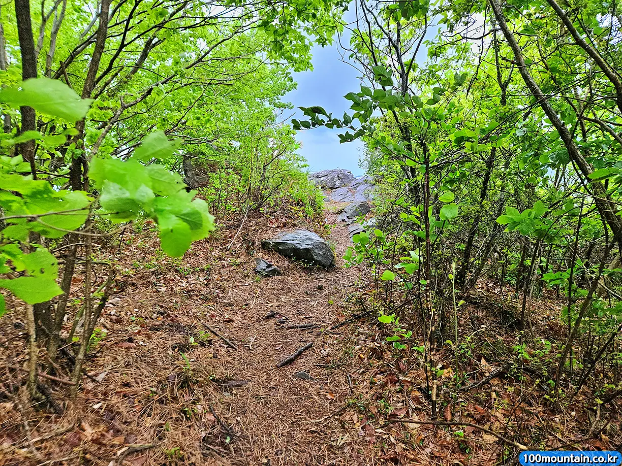 전망바위