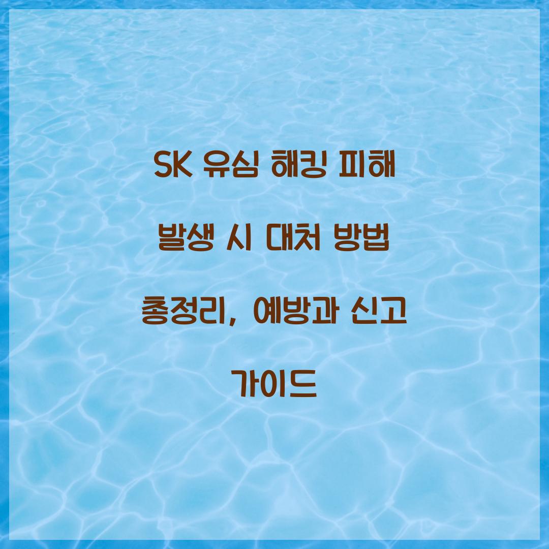 SK 유심 해킹 피해 발생 시 대처 방법