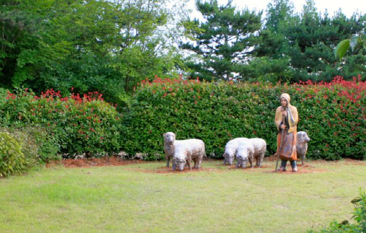 태안 청산수목원