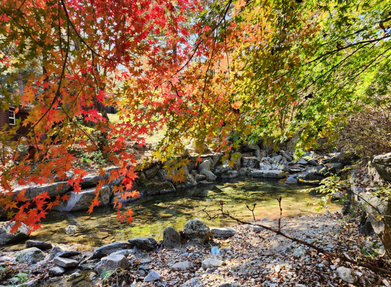 국립 유명산자연휴양림의 테마, 편의시설, 접근성