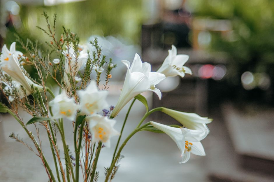 Beautiful white lilies with greenery in a soft outdoor background, perfect for serene and natural aesthetics.