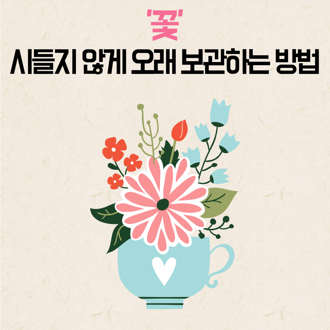 꽃오래보관하기