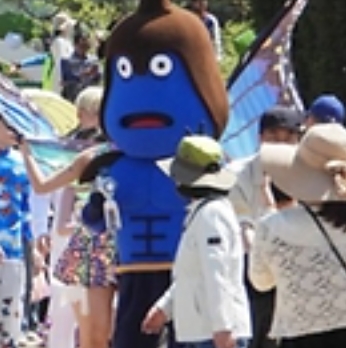 2025 함평나비대축제 완벽 가이드