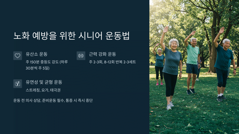 노화 예방을 위한 시니어 운동법 이미지