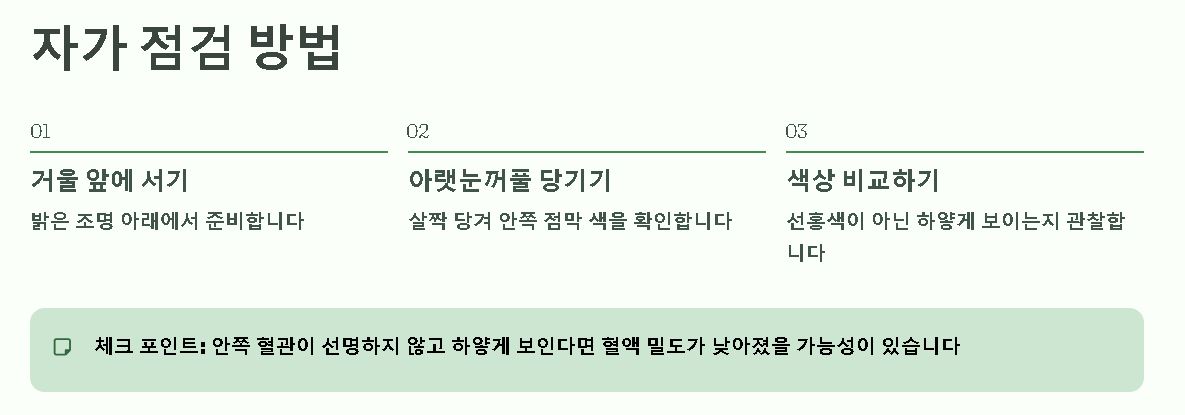 철분부족 증상