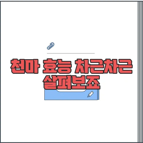천마 효능 차근차근 살펴보죠