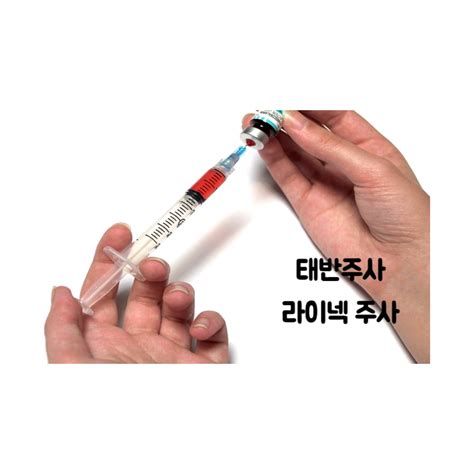 태반 주사 가격