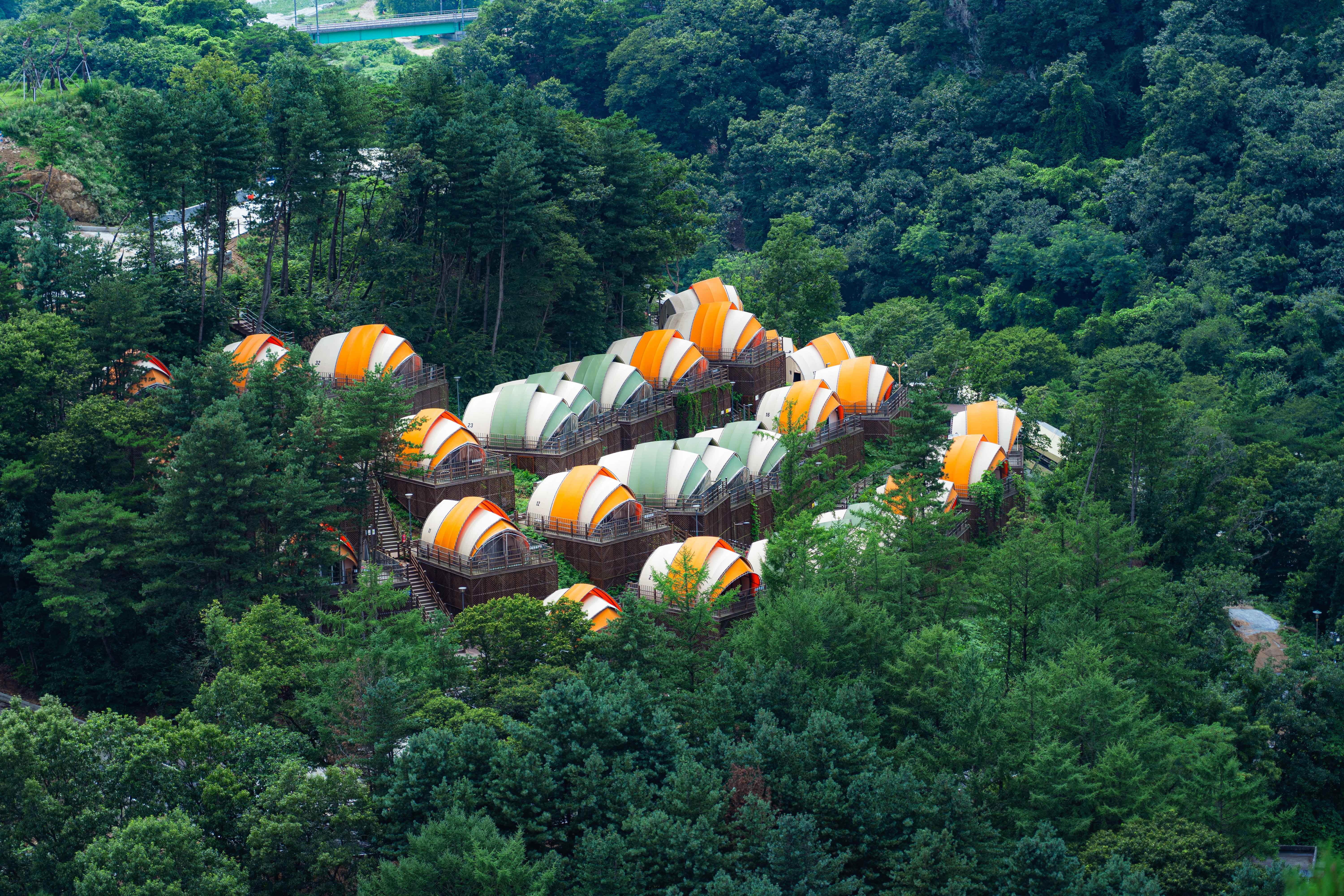 피톤치드 글램핑장