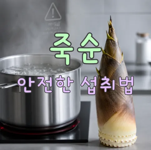죽순-안전한-섭취법
