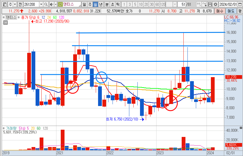 덴티스 월봉 차트 전망 분석 (24.2.28)