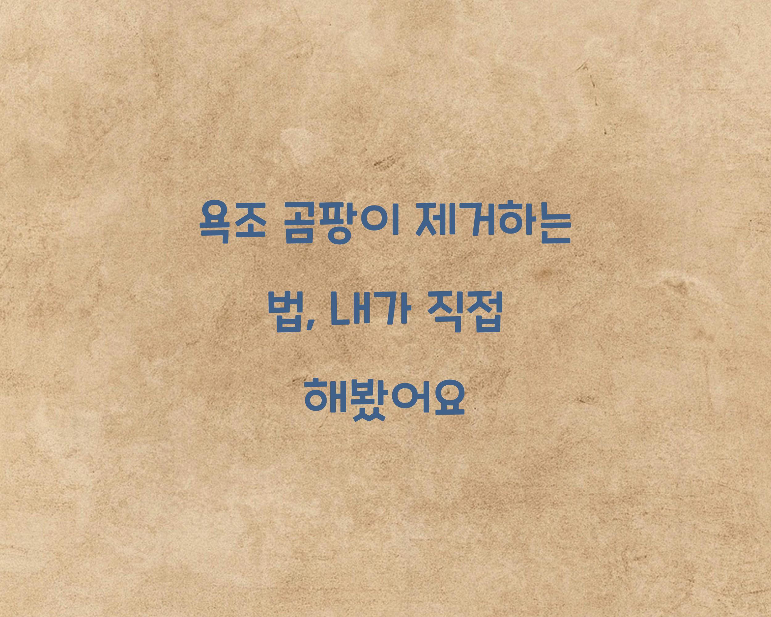 욕조 곰팡이 제거하는 법