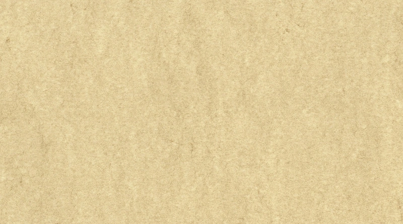 건설기술인 경력관리, 승진과 자격증 활용법